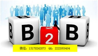 自動發(fā)布軟件棗莊新聞網 定西億凌云推廣
